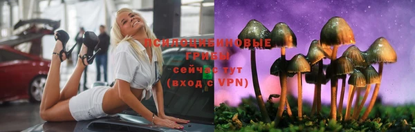 тгк Коряжма