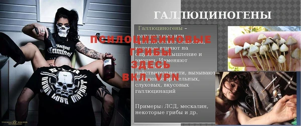 тгк Коряжма