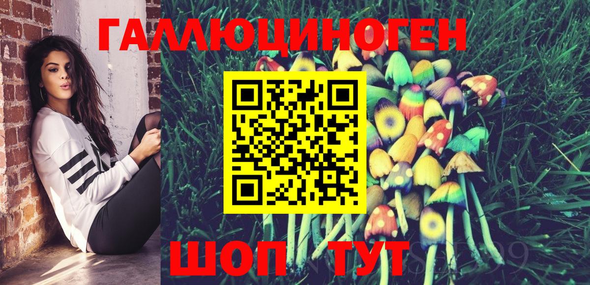 Галлюциногенные грибы Psilocybine cubensis  Вход с VPN  Псилоцибиновые грибы GOLDEN TEACHER  Жуковский 