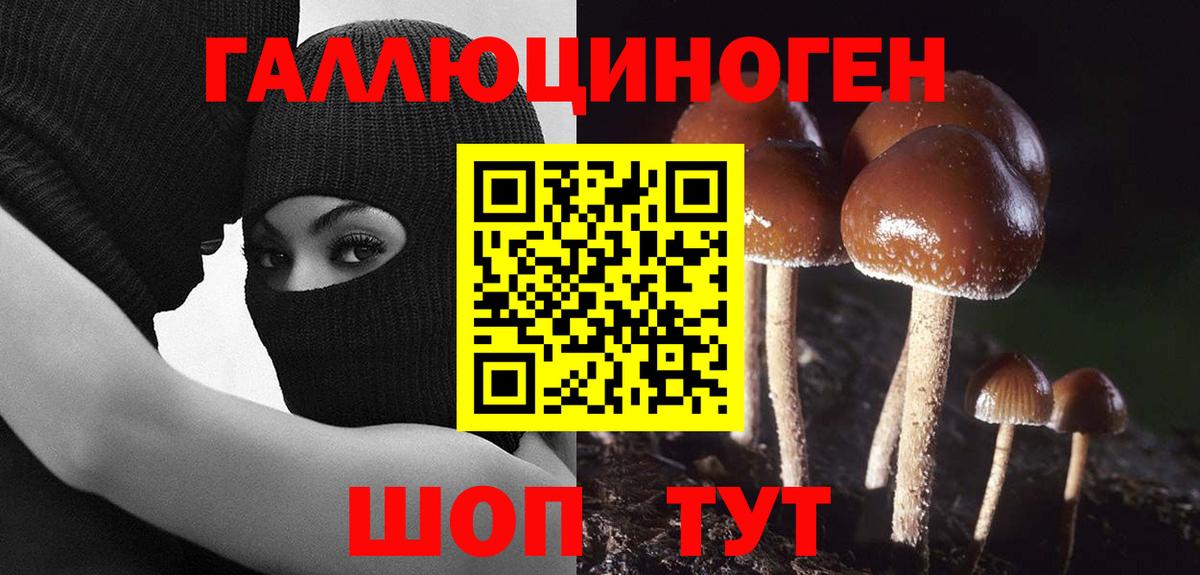 Псилоцибиновые грибы MAGIC MUSHROOMS Жуковский